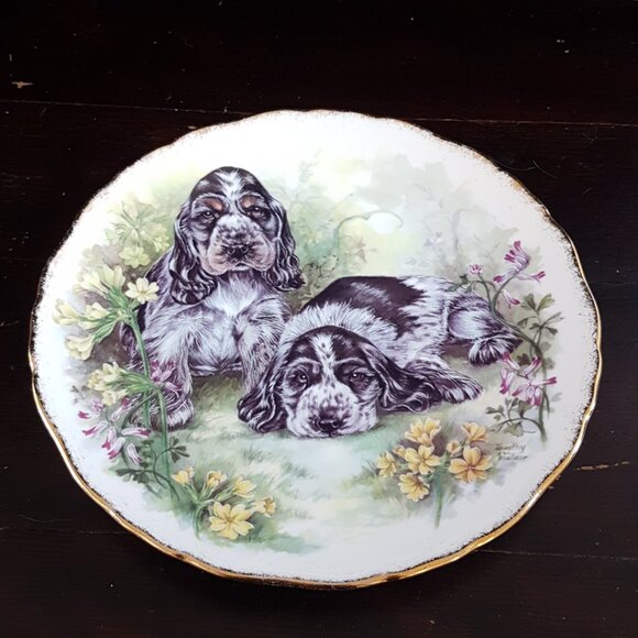 Vintage Royal Kent Cocker Spaniel Puppy Bone China Collector Plate - Picture 5 of 7